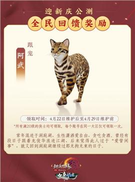 神将决天龙八部私服